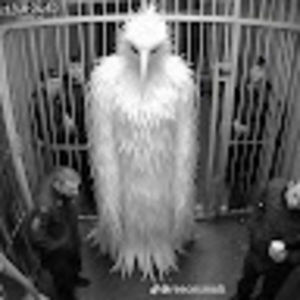 Meet your Posher, Alexa